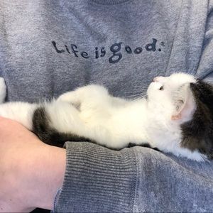 Meet your Posher, Abbey